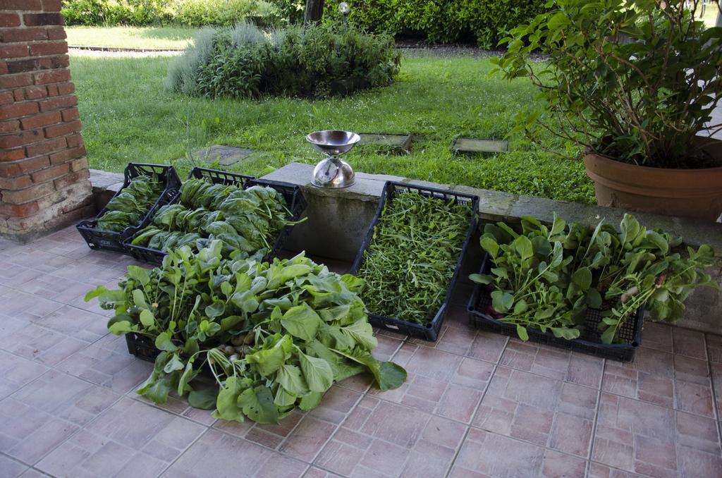 Cascina Foresto Bed & Breakfast Cossato Eksteriør bilde